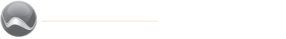 combined logo light